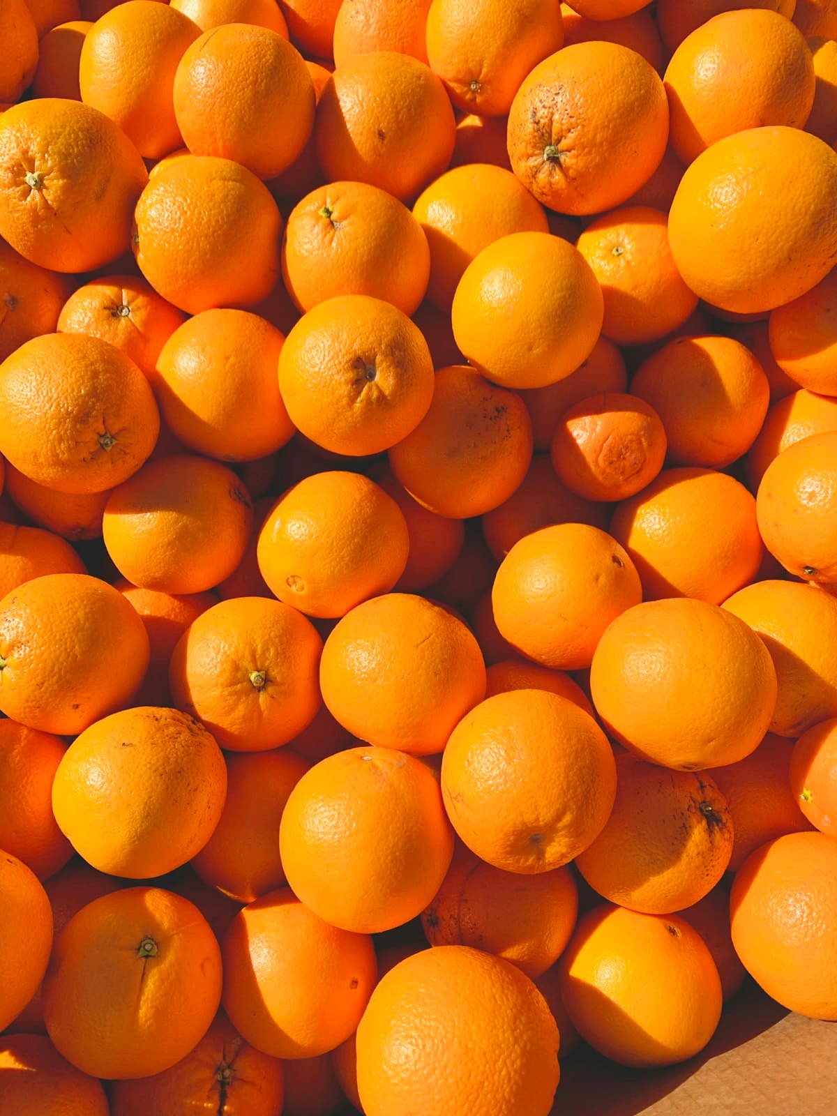 Collagen powder beside vitamin C rich fruit, representing vitamin C as a cofactor for collagen synthesis