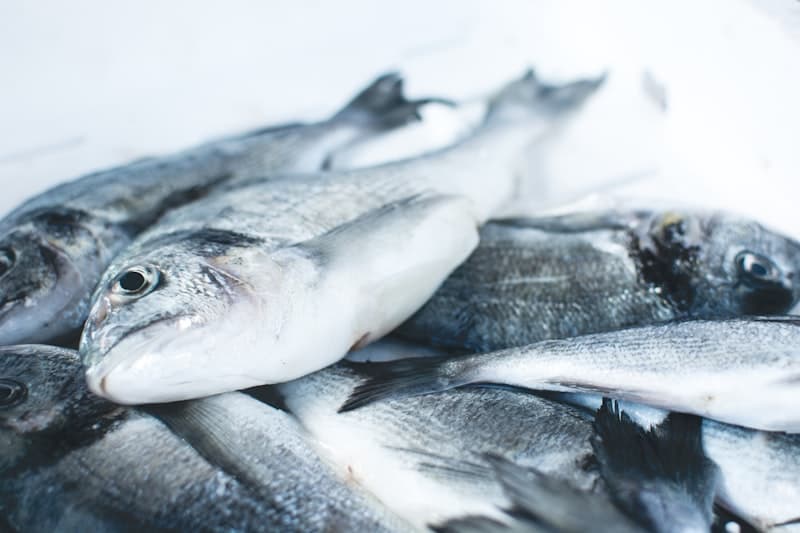 Fresh seafood representing marine collagen source compared to bovine collagen