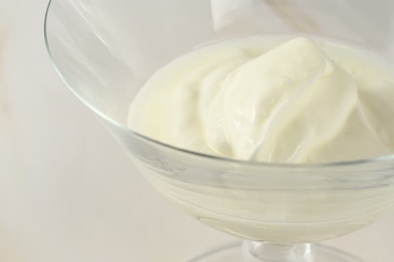 Probiotic strains comparison in Greek yogurt vs regular yogurt — CFU counts and bacterial diversity