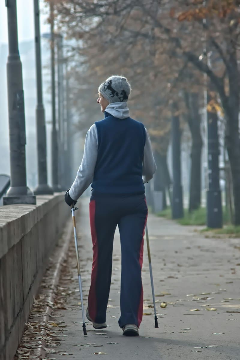 나무가 늘어선 길을 걷는 사람 — 6분 걷기 테스트