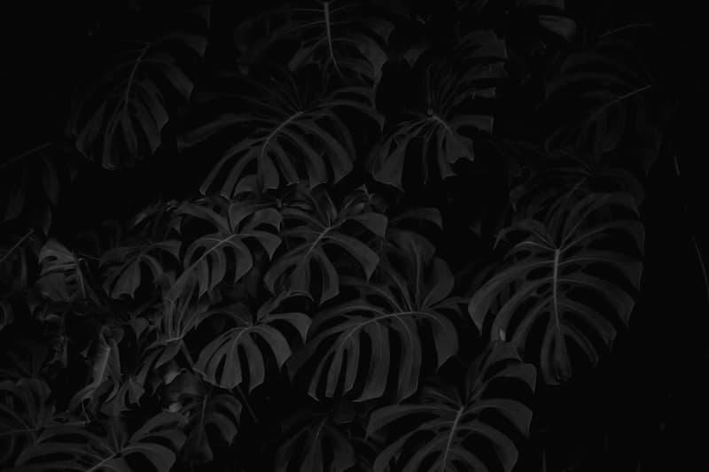 Magnesium for Sleep vs Melatonin: Which Actually Works? (Science-Backed 2026 Guide)