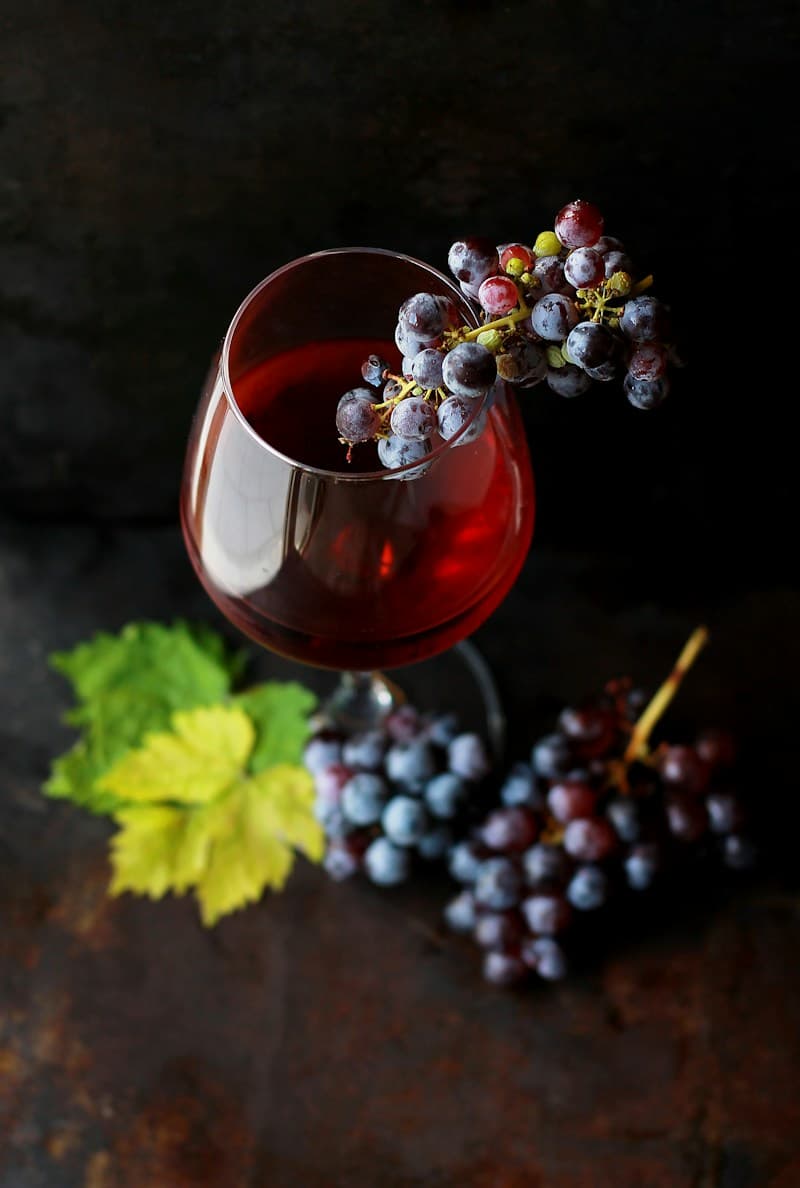 Red wine glass with grapes, the natural source of resveratrol