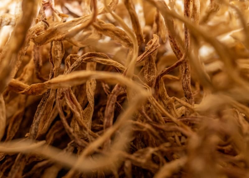 Dried ashwagandha roots and herbs